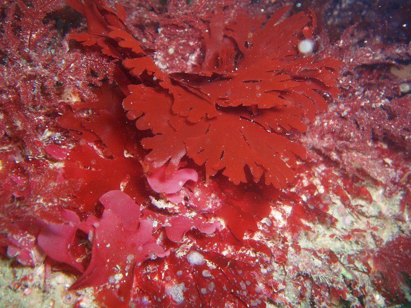 P1014017