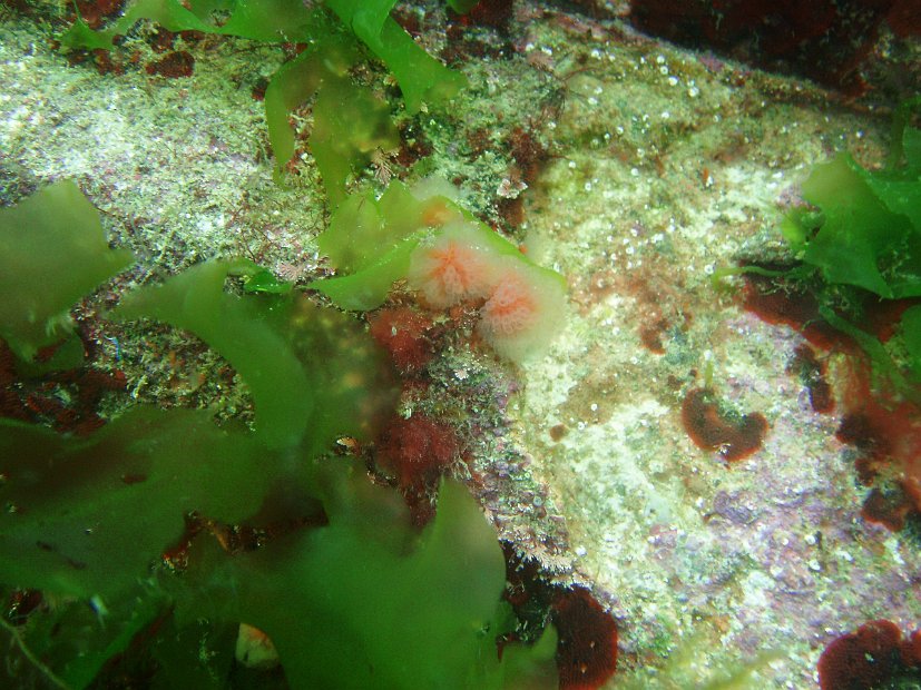 P7284139