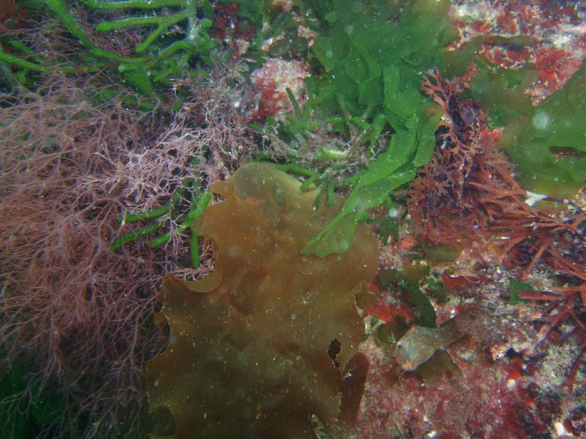 P7284147