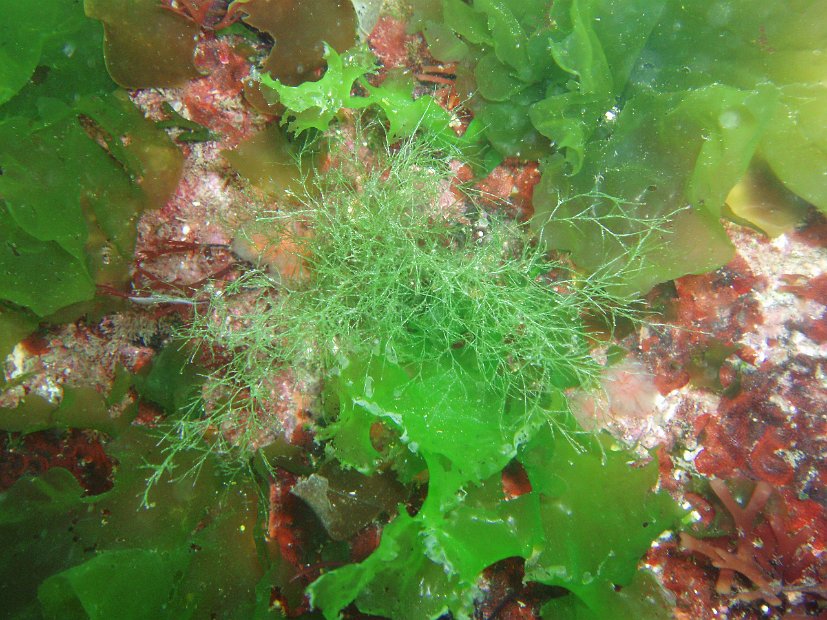 P7284149