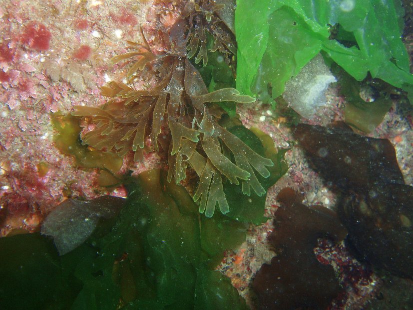 P7284157