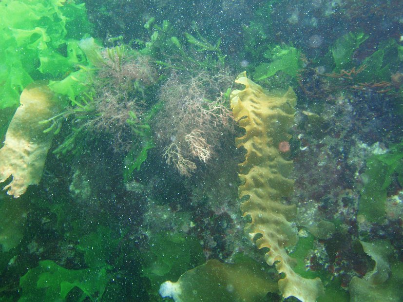 P7284169