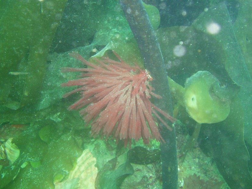 P7284231