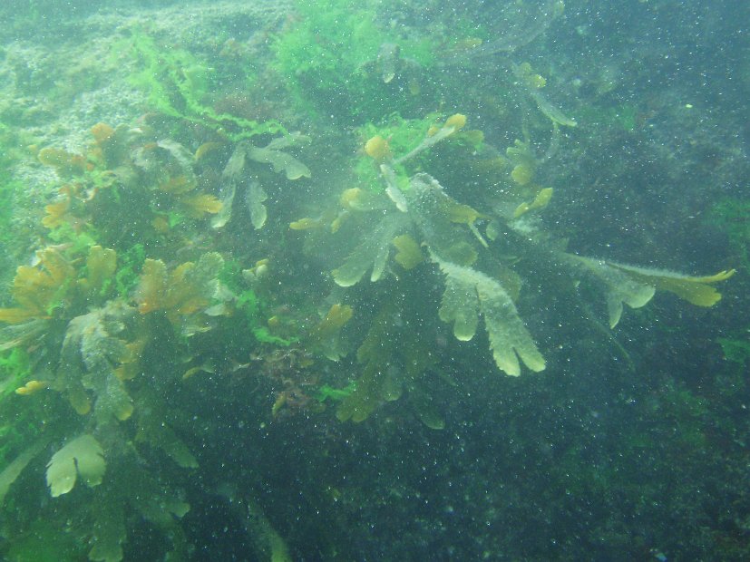 P7284235