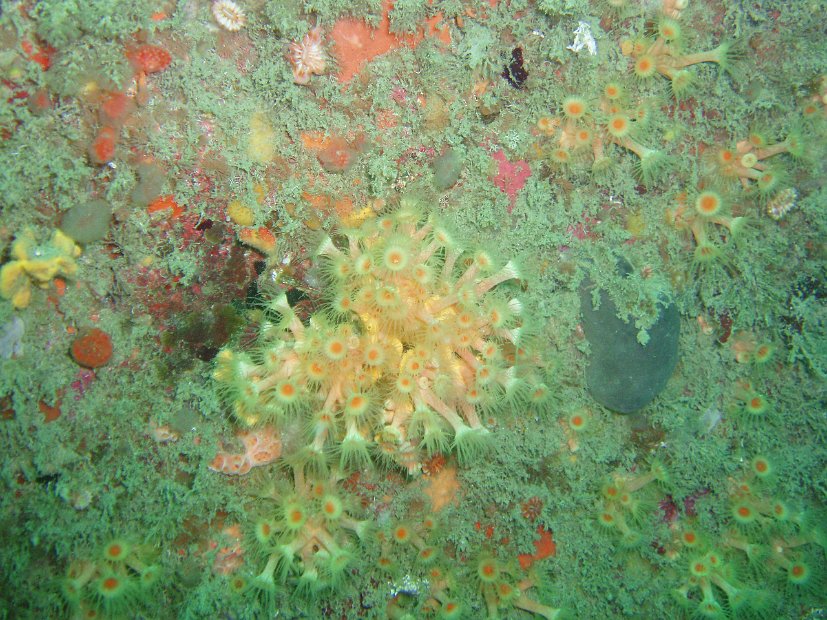 P7294287