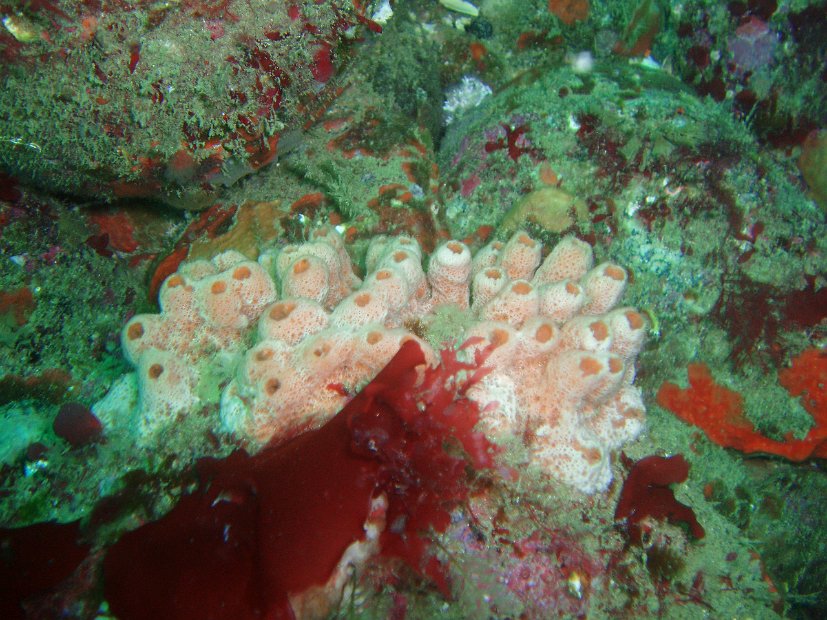 P7294304