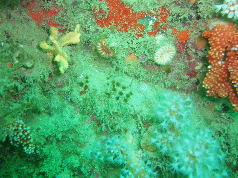 P7294307
