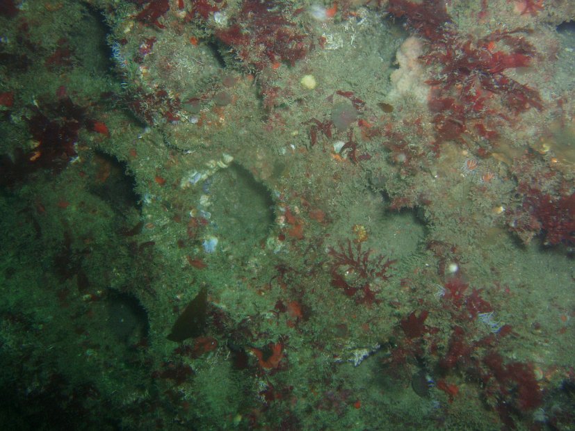 P7294360