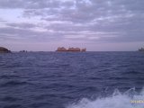 IMAG0674.jpg