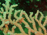 P1013997-cropped.png