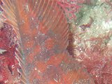 P7284200-cropped.jpg