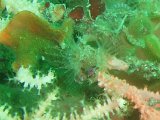 P7294318-cropped.jpg