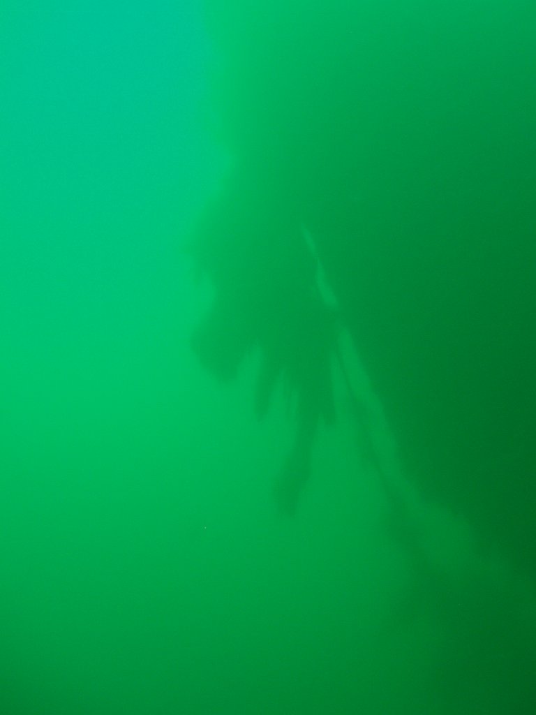Margaret Smith wreck