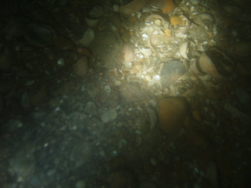 Hanson seabed