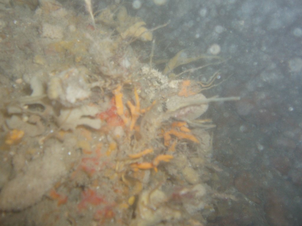 Hanson site