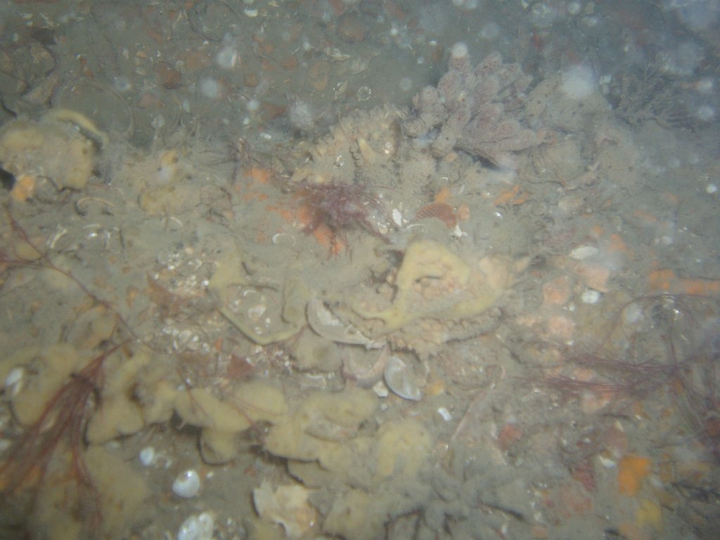 Hanson site
