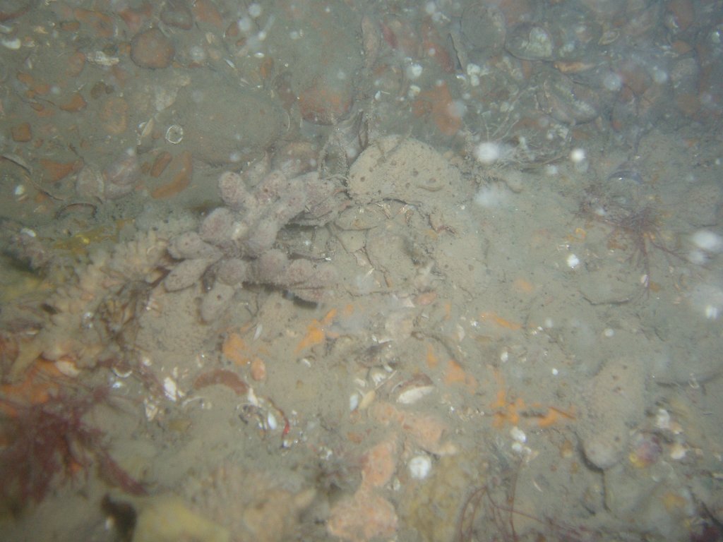 Hanson site