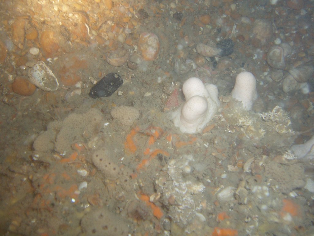 Hanson site