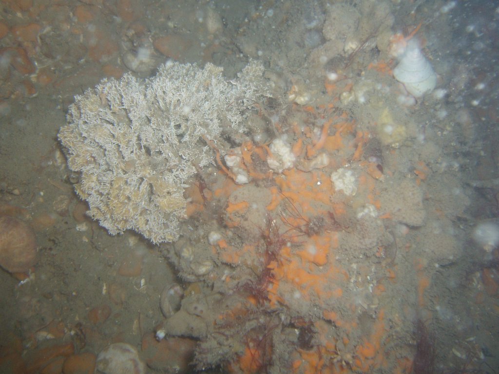 Hanson site