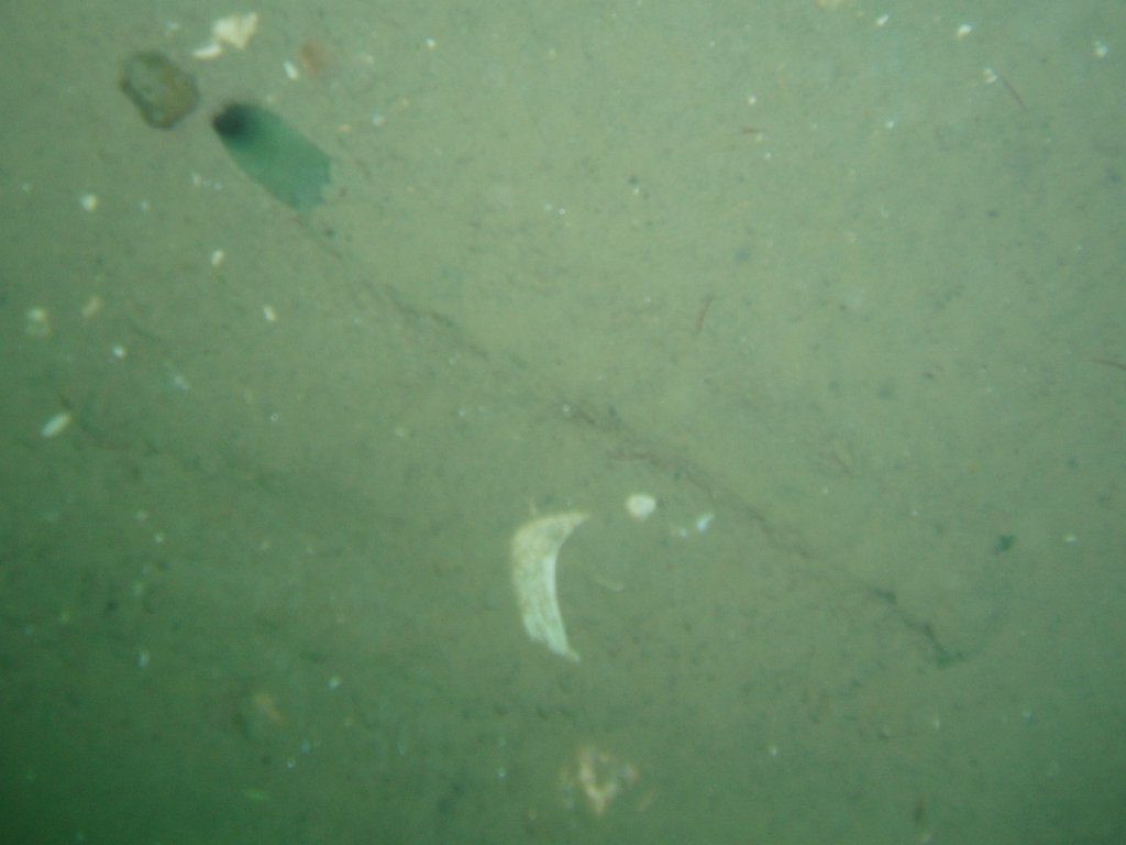 Bembridge rMCZ