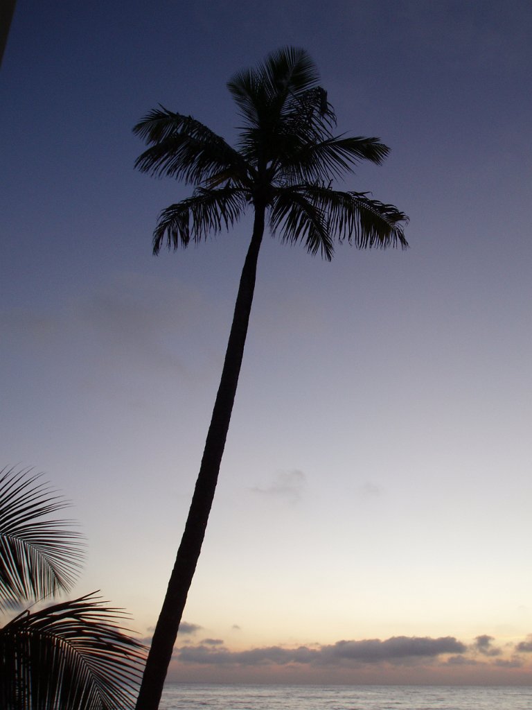 Hunting Caye