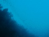 PC030175.JPG