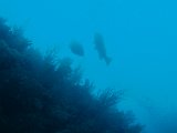 PC030187.JPG