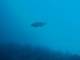 PC030189.JPG