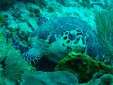 PC040204.JPG