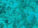 PC040232.JPG