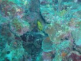 PC040280.JPG