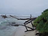 PC040309.JPG
