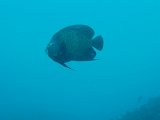 PC040322.JPG