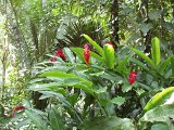 PC060442.JPG