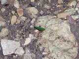 PC060457.JPG
