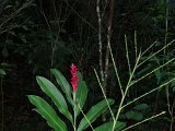 PC060461.JPG