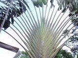 PC060468.JPG