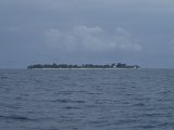 PC080515.JPG
