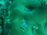 PC080518.JPG