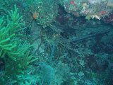 PC080520.JPG