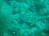 PC090621.JPG