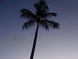 PC100687.JPG