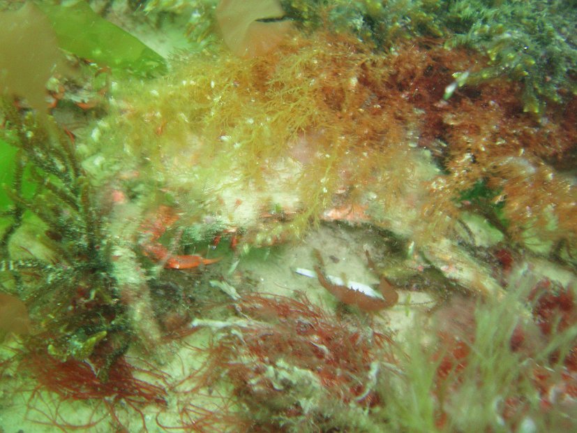 P6043436