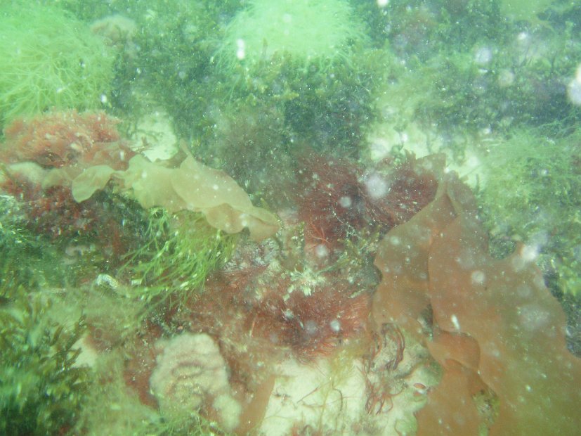 P6043438
