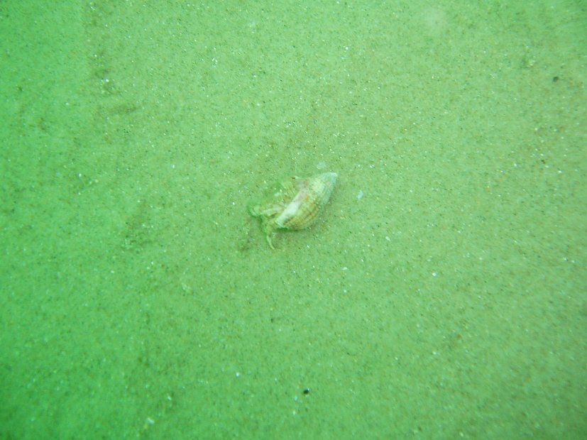 P6043439