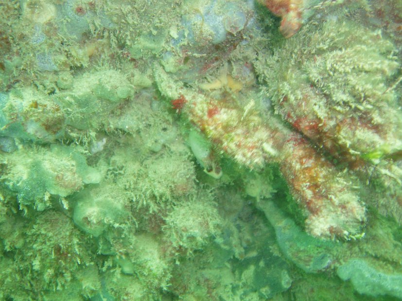 P6043463