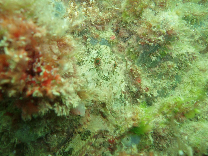 P6043470