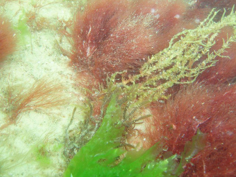 P6043493