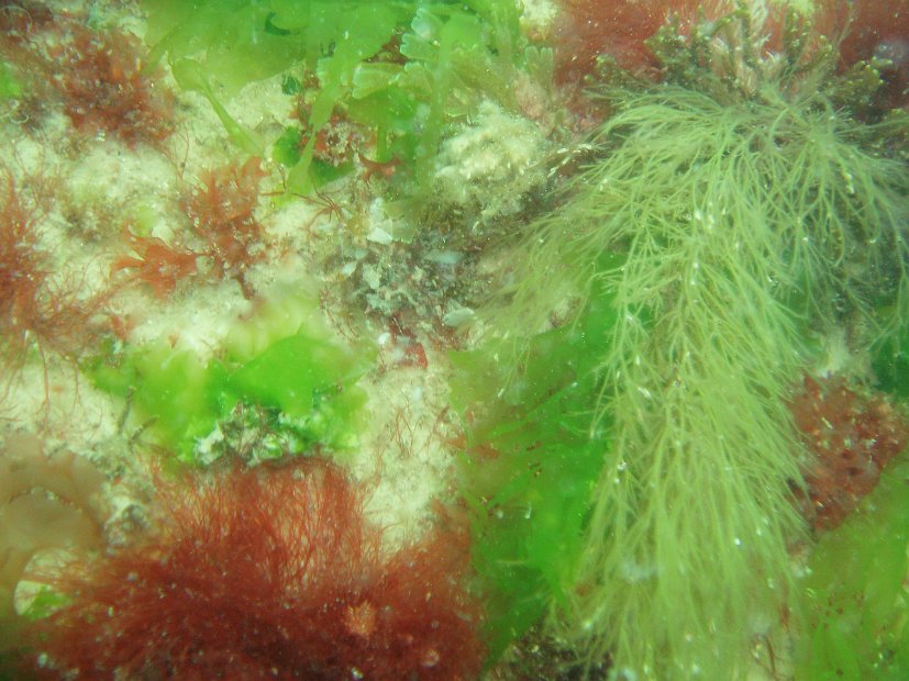 P6043496