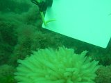 M0011482.JPG